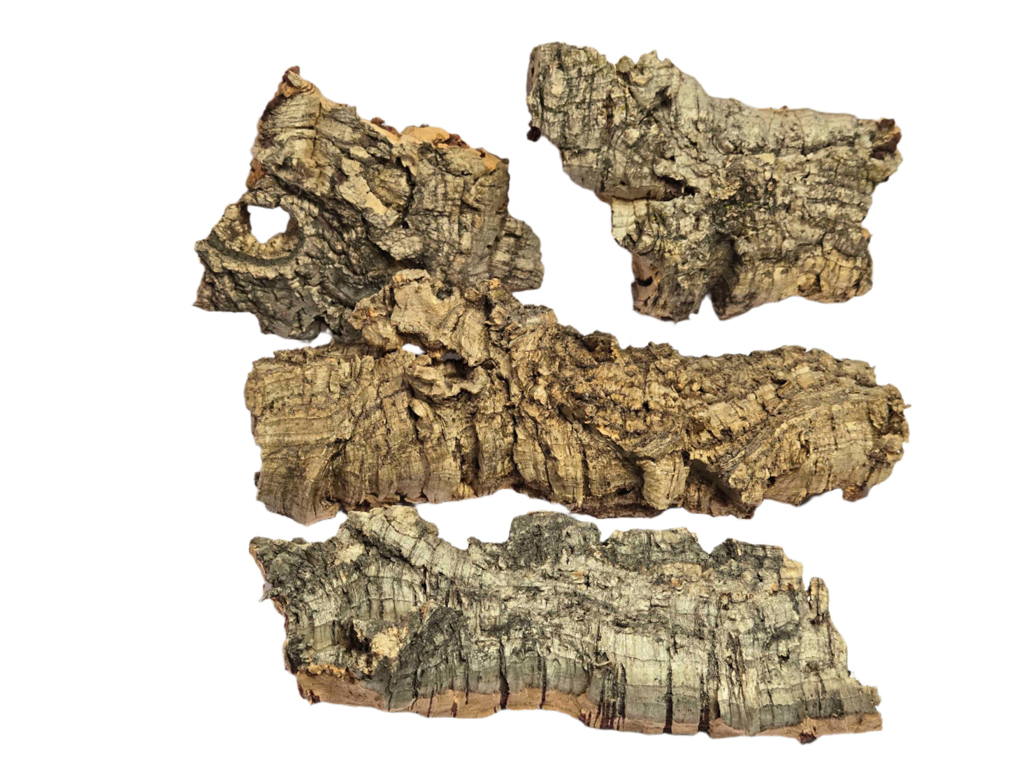 Cork Bark