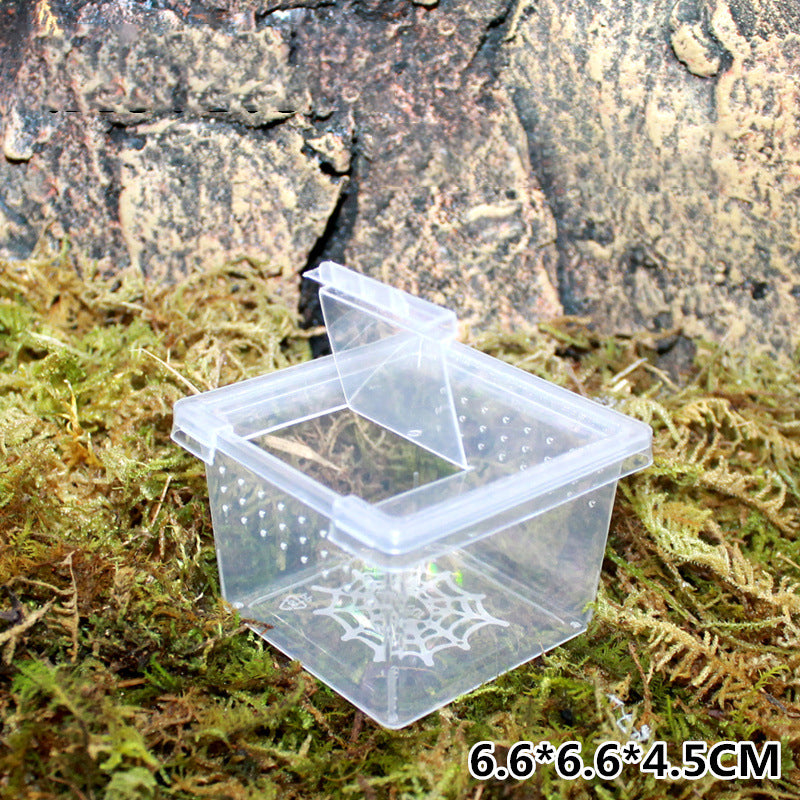 Isopod and Invertebrate Box for Shipping, Shows, Expos, and more