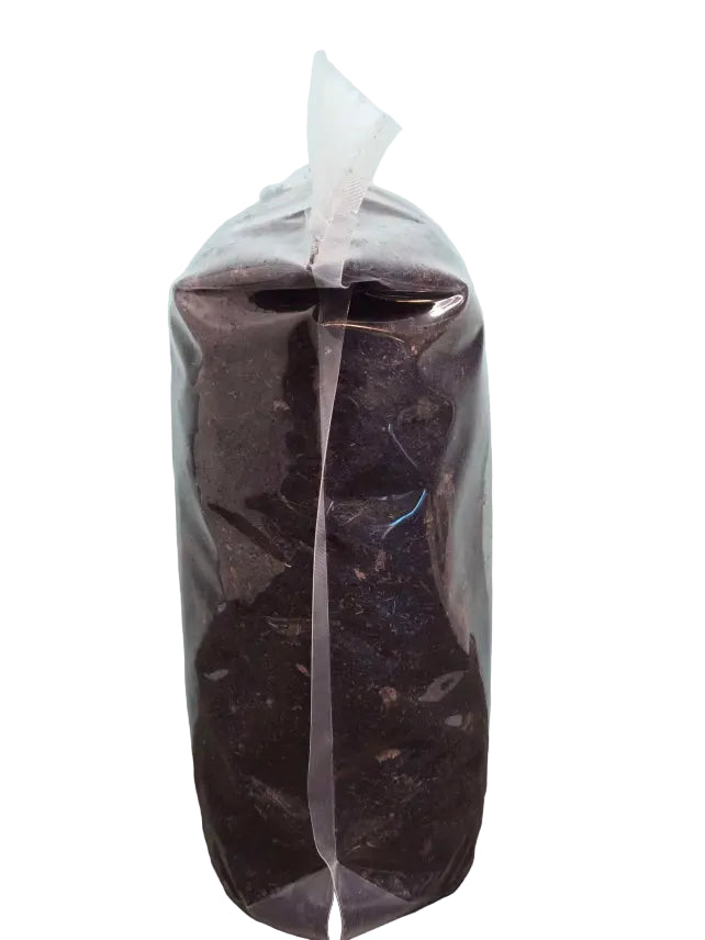 Tropical Bioactive Substrate - Frogs, Reptiles, and more!