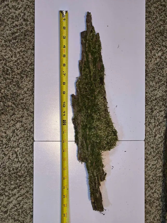 Mossy Bark Hides