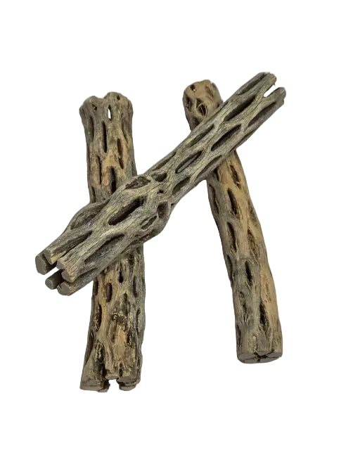 Cholla Wood Isopod Hide – Natural Terrarium Decor for Bioactive Setups