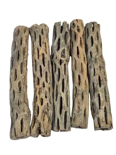 Cholla Wood Isopod Hide – Natural Terrarium Decor for Bioactive Setups