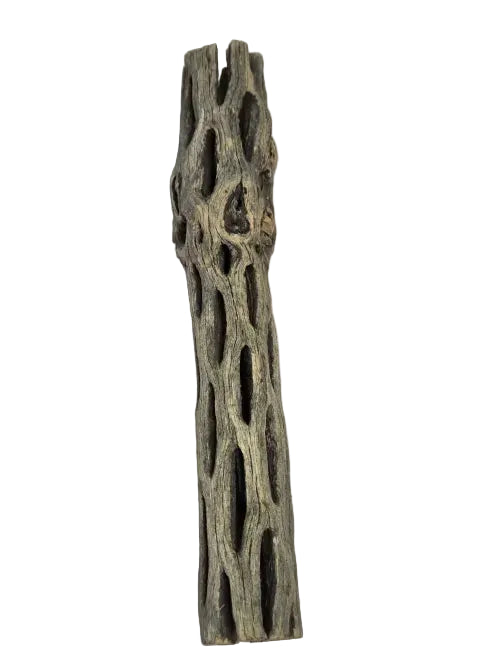 Cholla Wood Isopod Hide – Natural Terrarium Decor for Bioactive Setups