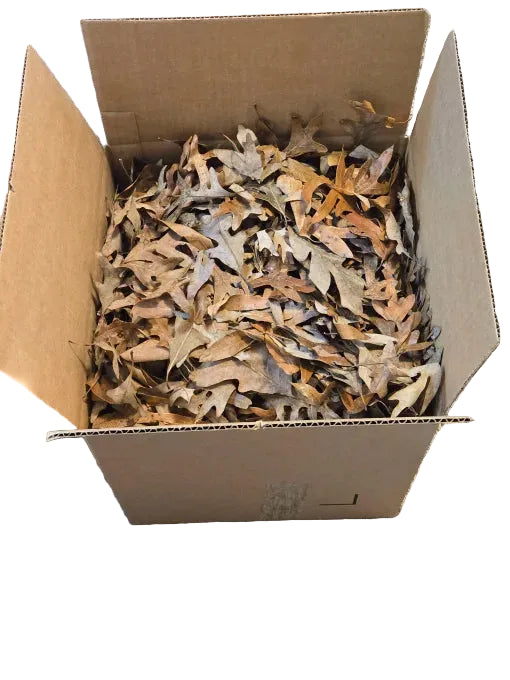 Forest Floor Leaf Litter (3 Sizes!)