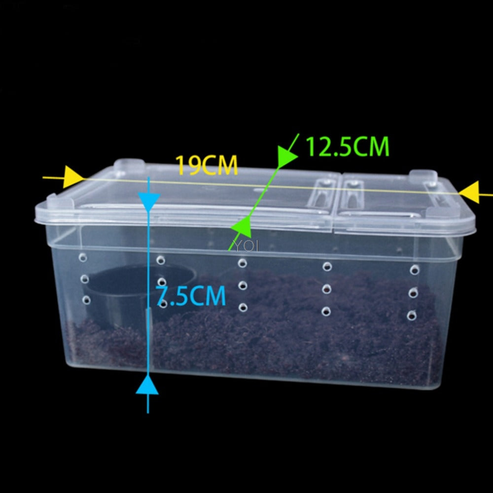 Small Isopod and Invertebrate enclosure, transportation and feeding box