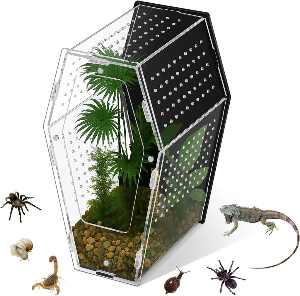 Acrylic Jumping Spider Habitat – Clear Terrarium Enclosure for Spiders & Insects