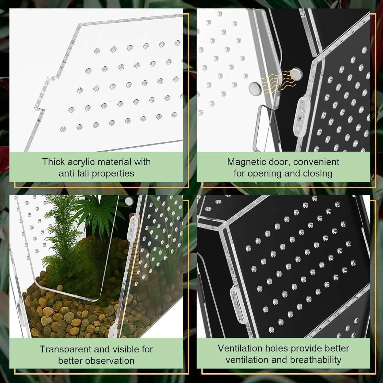 Acrylic Jumping Spider Habitat – Clear Terrarium Enclosure for Spiders & Insects