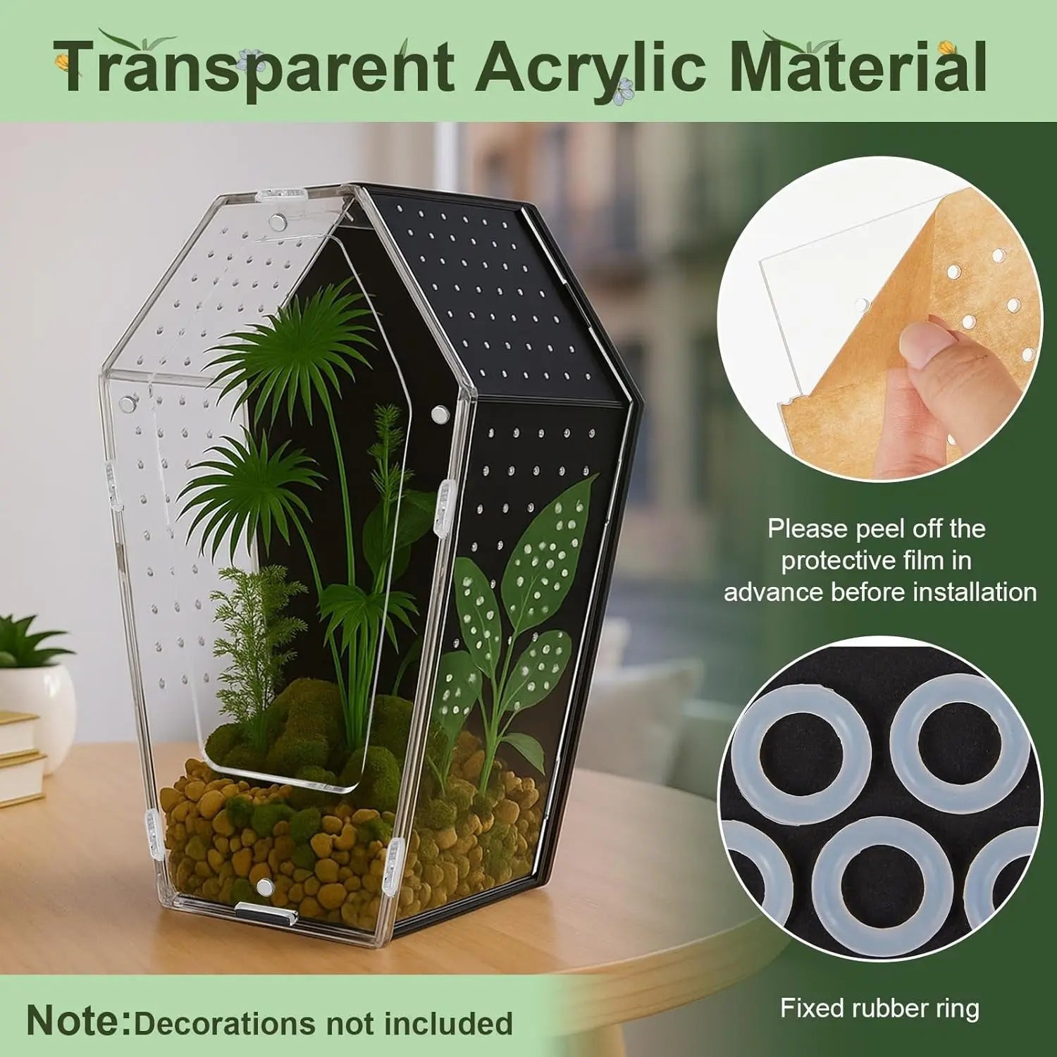 Acrylic Jumping Spider Habitat – Clear Terrarium Enclosure for Spiders & Insects