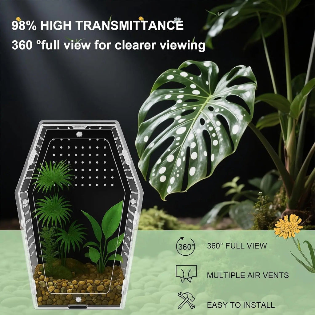 Acrylic Jumping Spider Habitat – Clear Terrarium Enclosure for Spiders & Insects