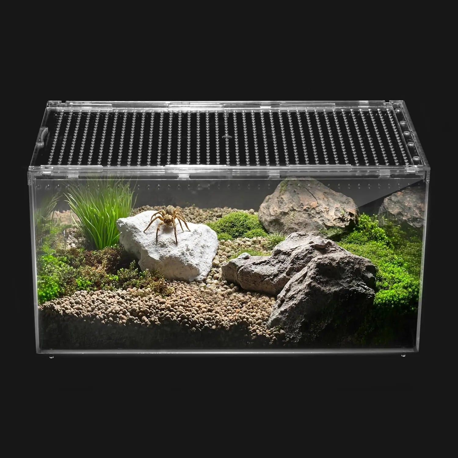 Acryllic Terrarium Starter Kit – Enclosure for Isopods, Jumping Spiders & Insects