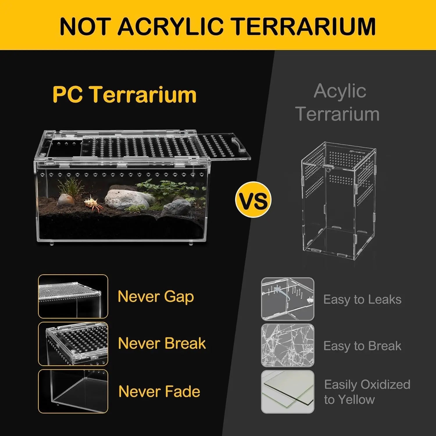 Acryllic Terrarium Starter Kit – Enclosure for Isopods, Jumping Spiders & Insects