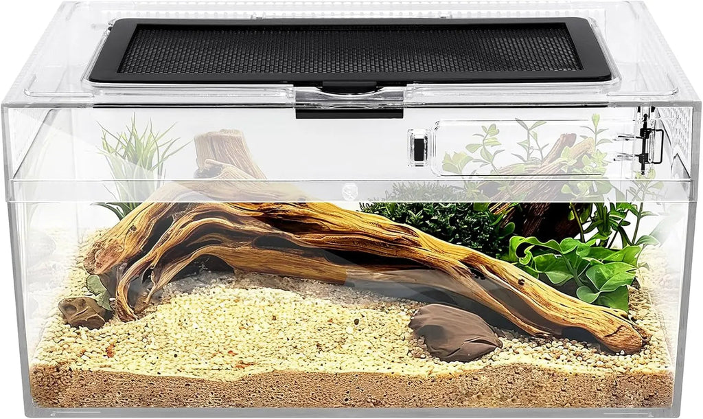 Acryllic Terrarium Starter Kit – Enclosure for Isopods, Jumping Spiders & Insects