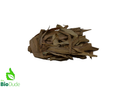 Colombian Leaf Litter - Bamboo Leaves -  Guadua Sp. 1.5 oz