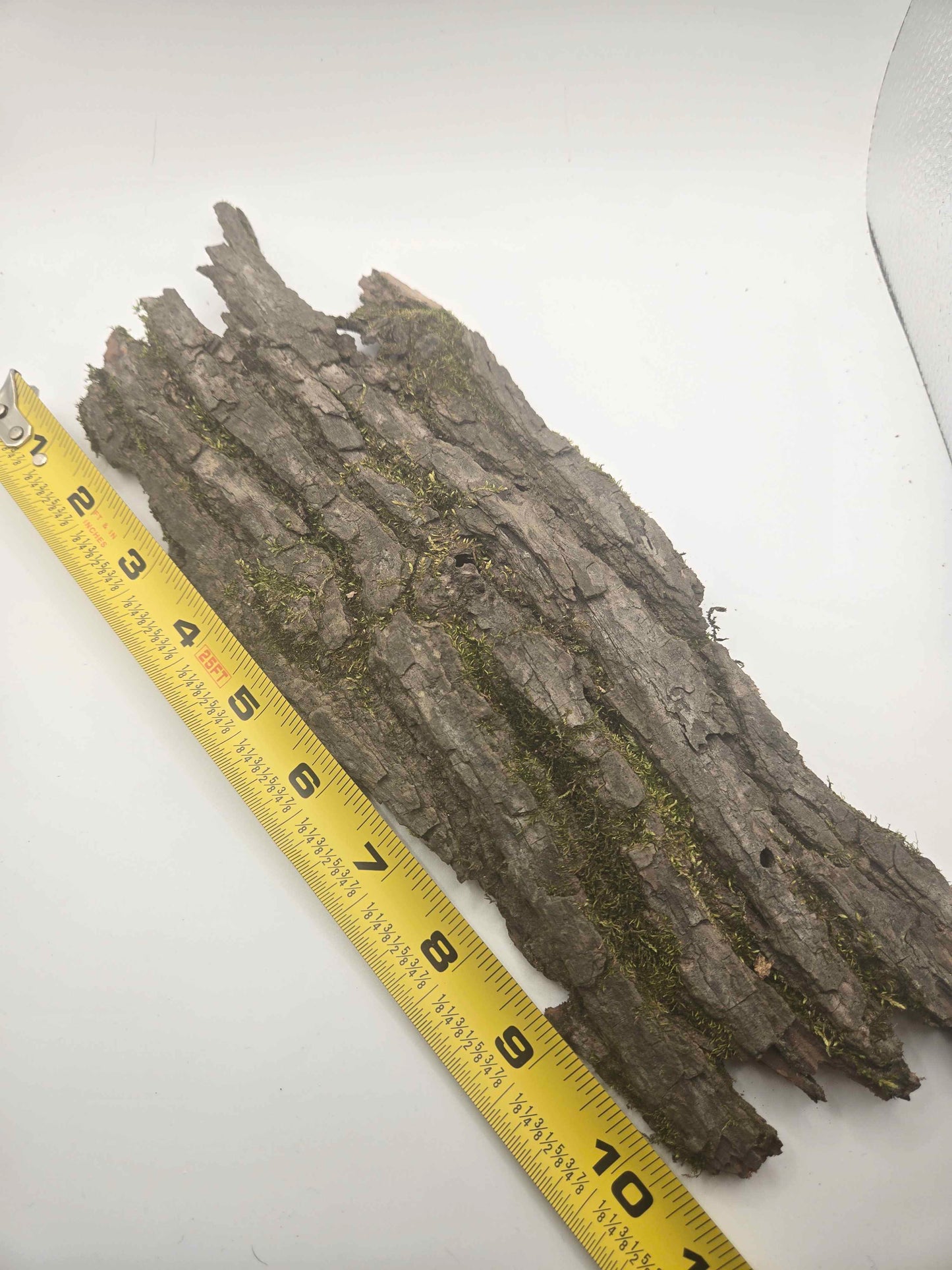 Mossy Bark Hides