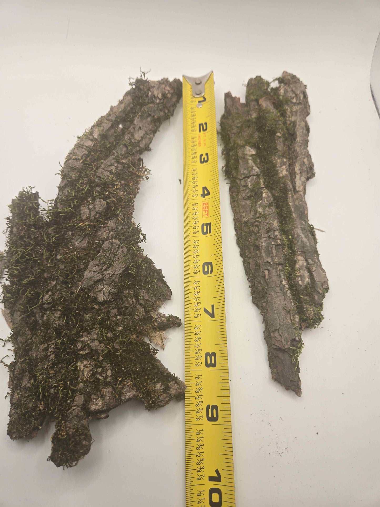 Mossy Bark Hides