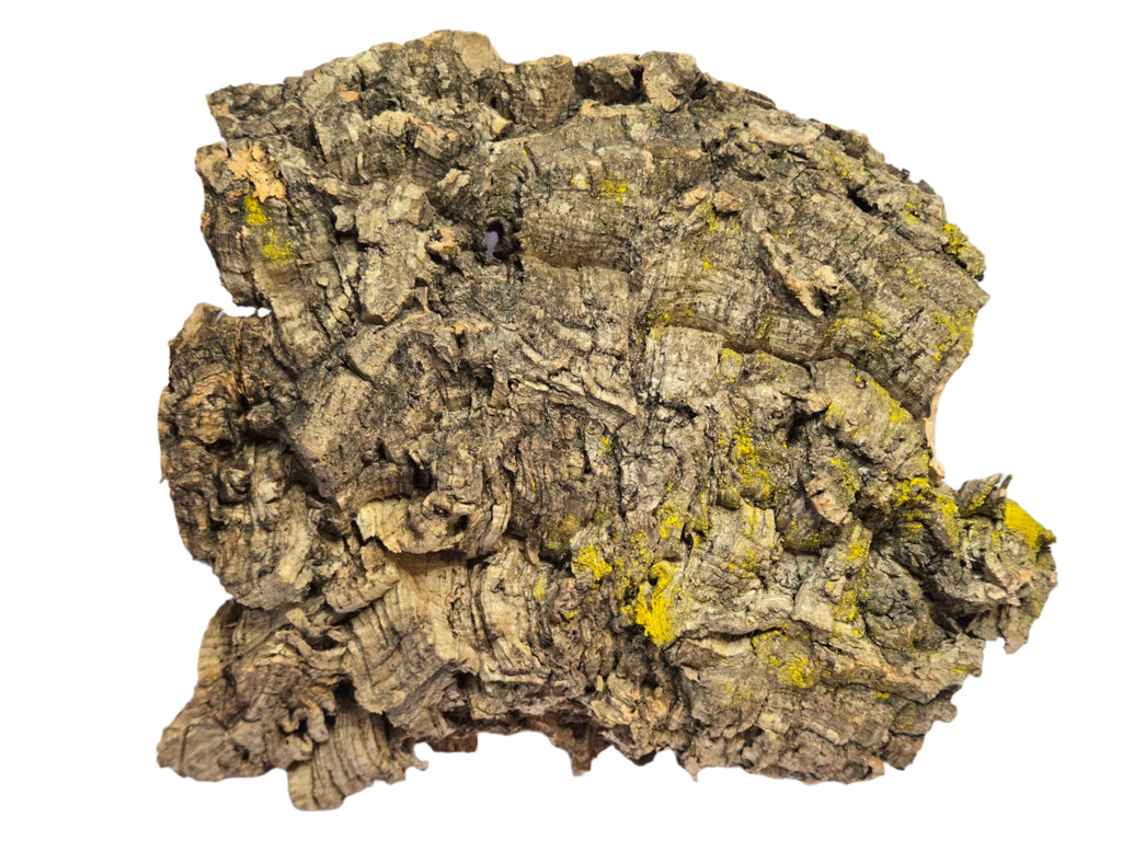 Cork Bark