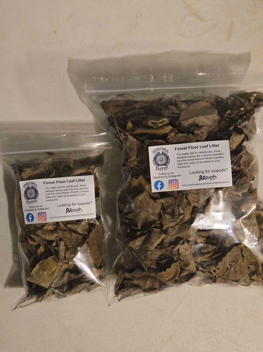 Forest Floor Leaf Litter (2 Sizes!)