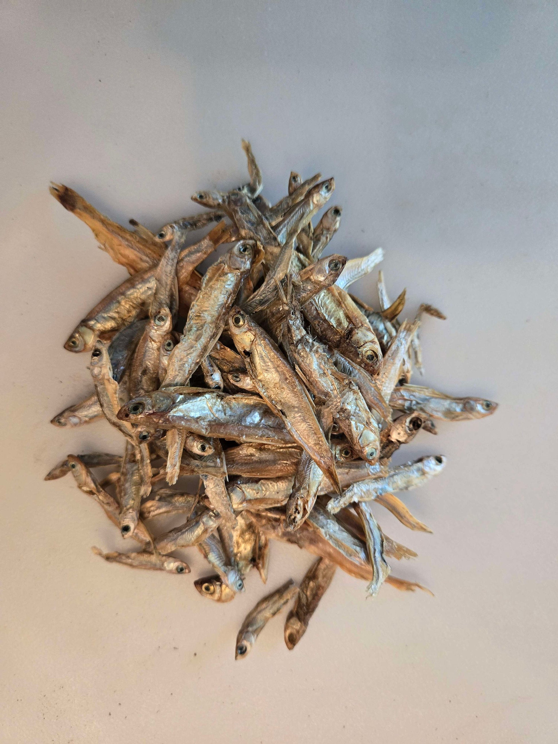 Pod Protein - Freeze Dried Minnows, Isopod Treats!