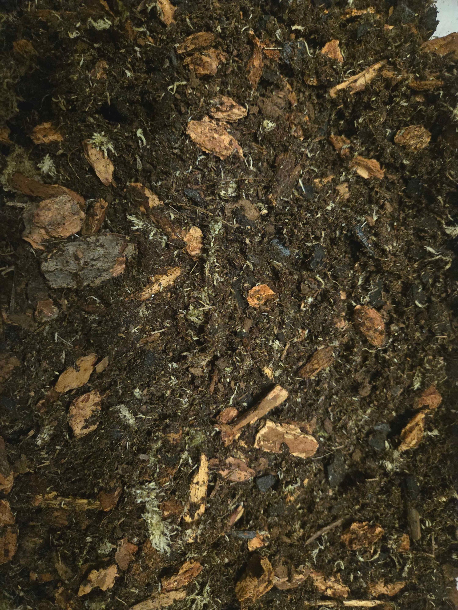 Premium Tropical Substrate - Bioactive Bedding for Tropical Species!