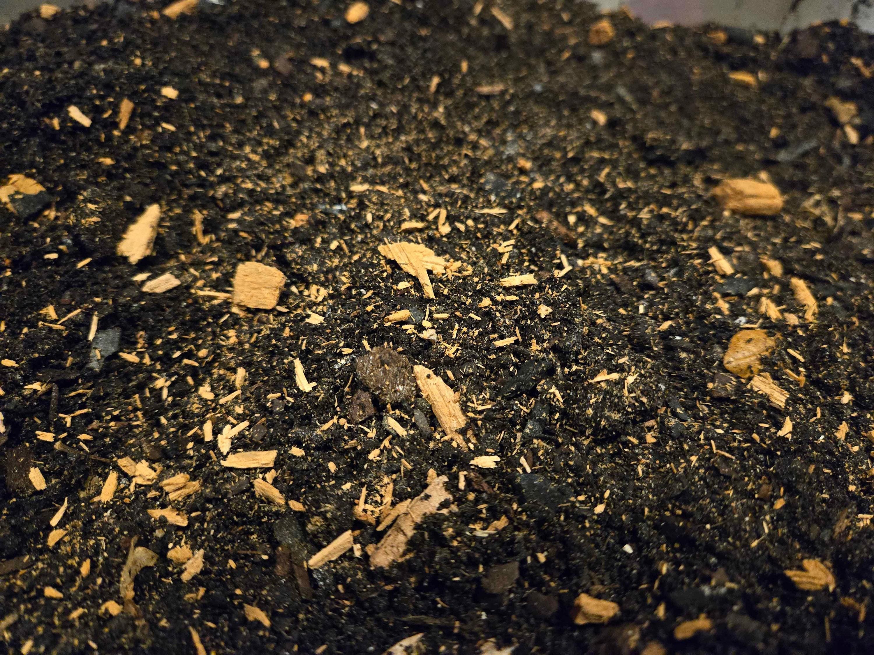 Premium Millipede Substrate – Natural Detritivore Soil Mix for Healthy Growth & Breeding