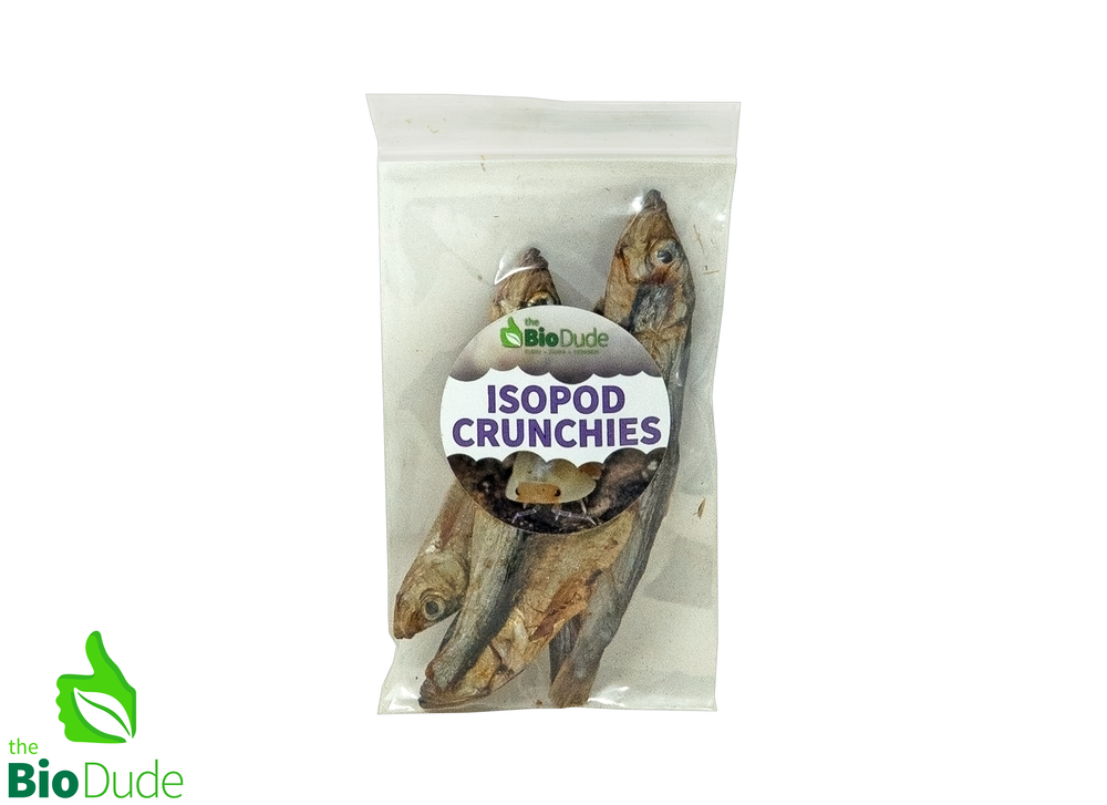 3 Pack Isopod Crunchies Dried Baltic Herring – 5 Count Protein Treat