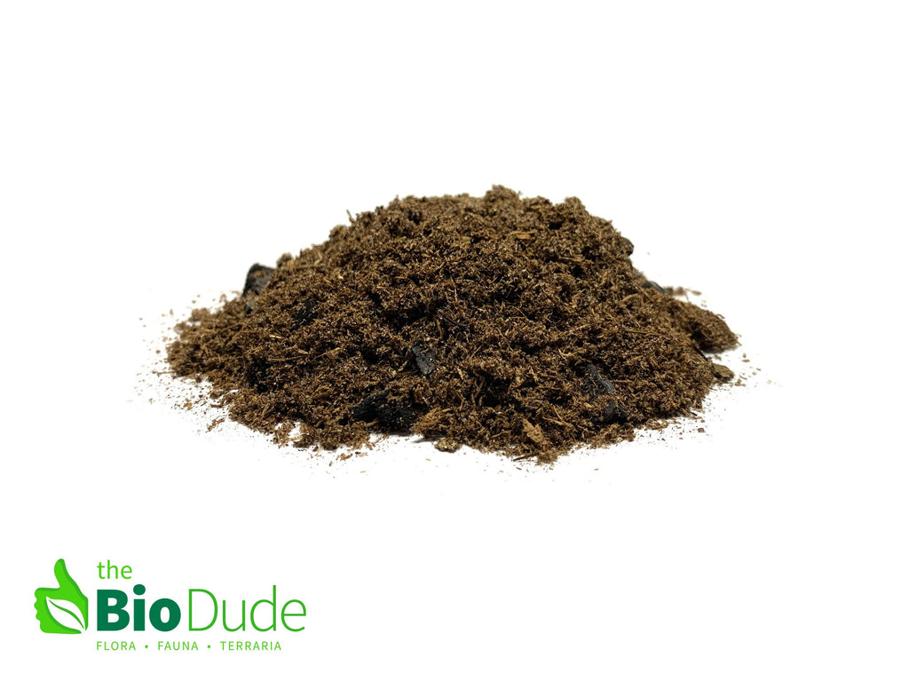 The Bio Dude - Terra Aranea Substrate for Tarantulas 6 qt - The Ultimate Invert Bioactive Substrate