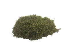Forest Fresh Moss