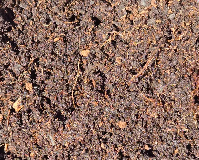 Tropical Bioactive Substrate - Frogs, Reptiles, and more!