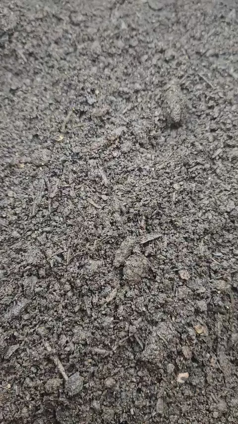 Organic Leaf Compost