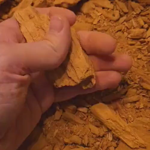 Premium White Rot Wood