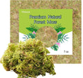 Natural Orchid Moss 7oz – Organic Soilless Terrarium Moss for Isopods, Bioactive Setups & Moisture‑Loving Plants