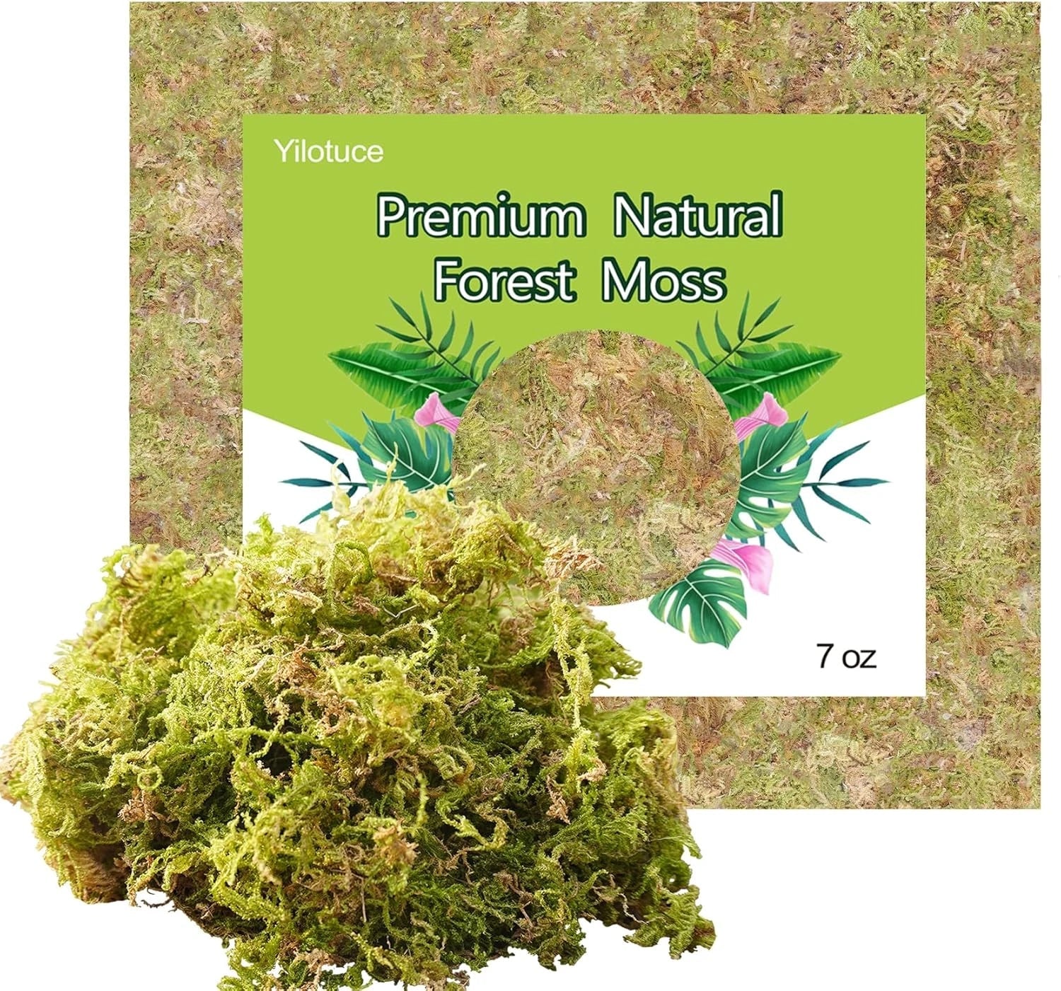 Natural Orchid Moss 7oz – Organic Soilless Terrarium Moss for Isopods, Bioactive Setups & Moisture‑Loving Plants