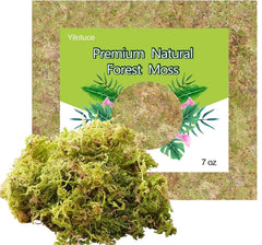 Natural Orchid Moss 7oz – Organic Soilless Terrarium Moss for Isopods, Bioactive Setups & Moisture‑Loving Plants
