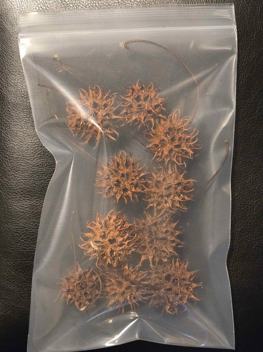 Pod Packs! Isopod Hides - Sweetgum Balls