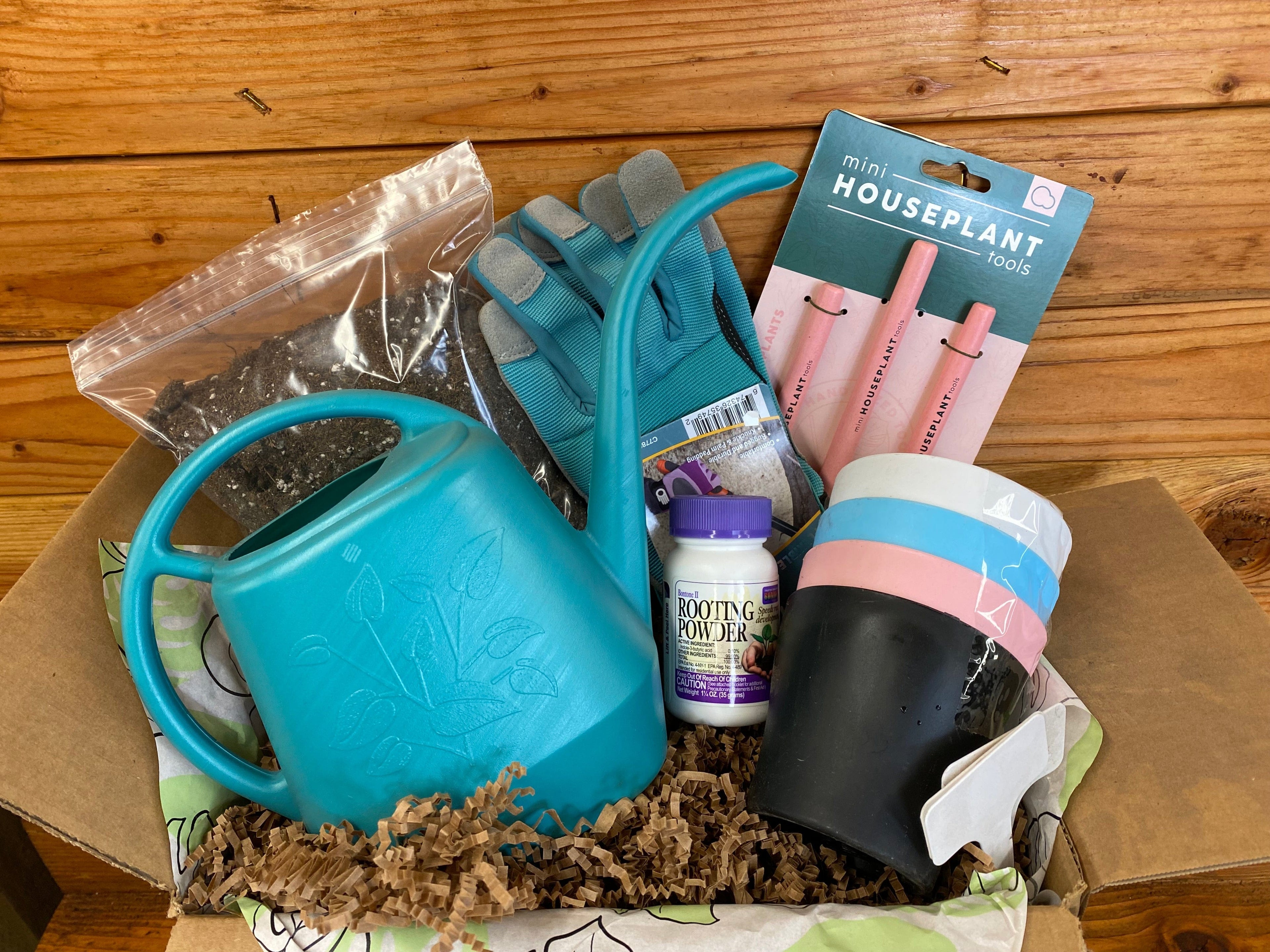 Houseplant Starter Box