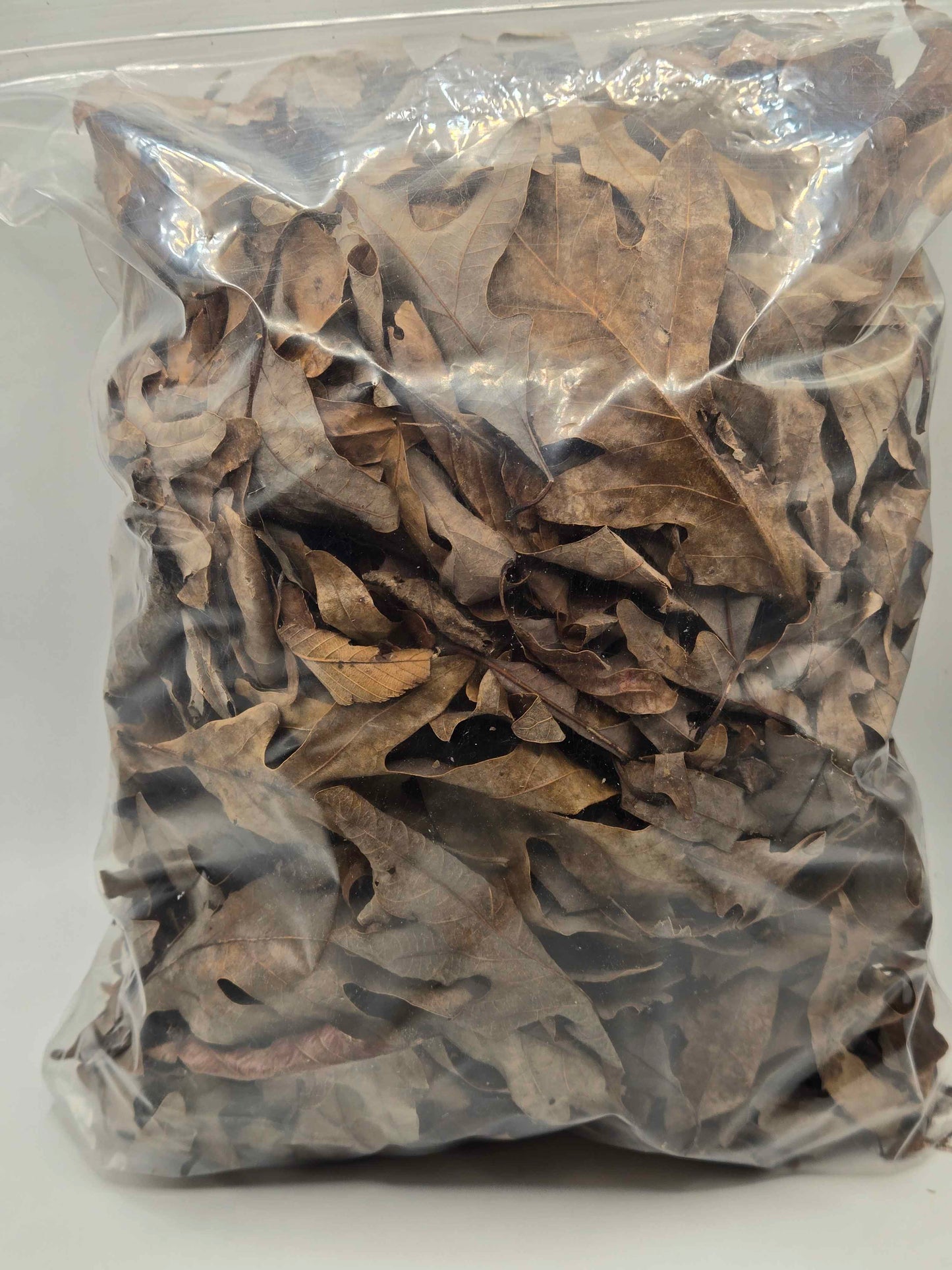 Forest Floor Leaf Litter (3 Sizes!)