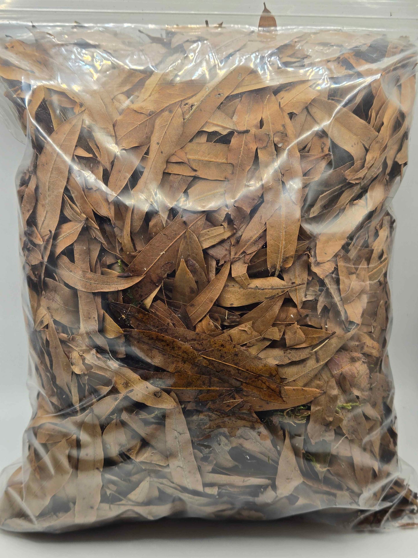 Forest Floor Leaf Litter (3 Sizes!)